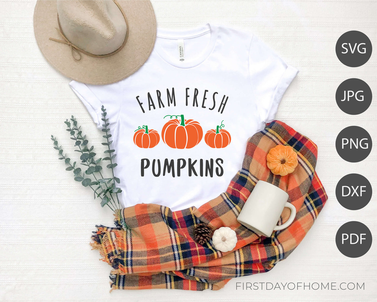 Mockup example of Farm Fresh Pumpkin t-shirt using digital files. Lists digital files as SVG, JPG, PNG, DXF and PDF