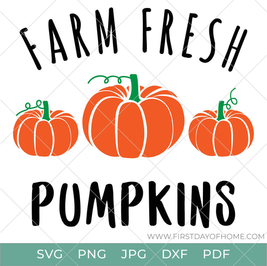 Farm Fresh Pumpkins digital design with three pumpkins in the middle, available in SVG, PNG, JPG, DXF and PDF file formats